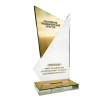 Приз из акрила 3-слойный (два слоя пластика)