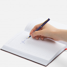 Ручка шариковая Euro Gold, синяя