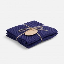 Набор кухонных полотенец Good Wipe, синий