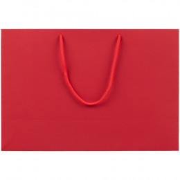 Пакет бумажный Ample Plus M, красный