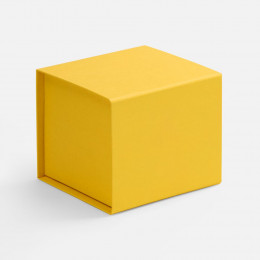 Коробка Alian, желтая