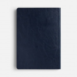 Ежедневник Doppio, недатированный, синий